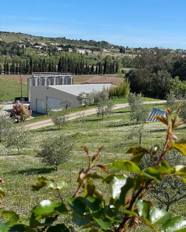 Панорамный вид на виноградники региона Лиму