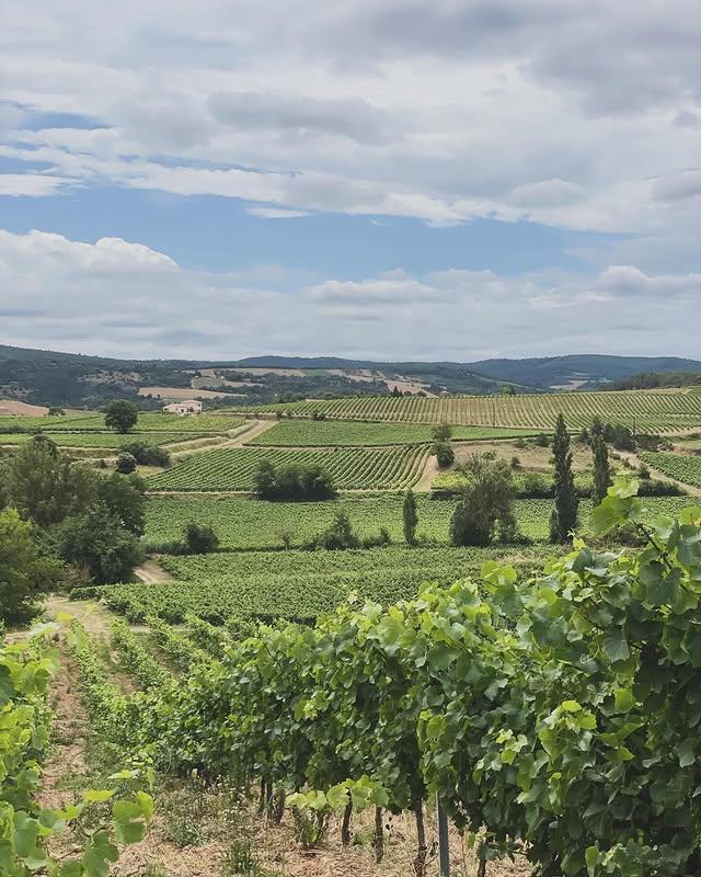 Семья Буше за работой в винограднике или погребе