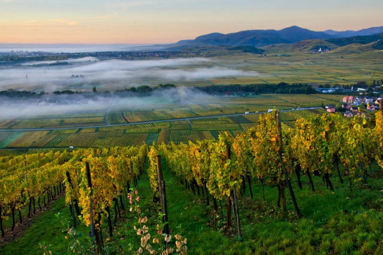 Крупный план меловых почв в Мениль-сюр-Оже
