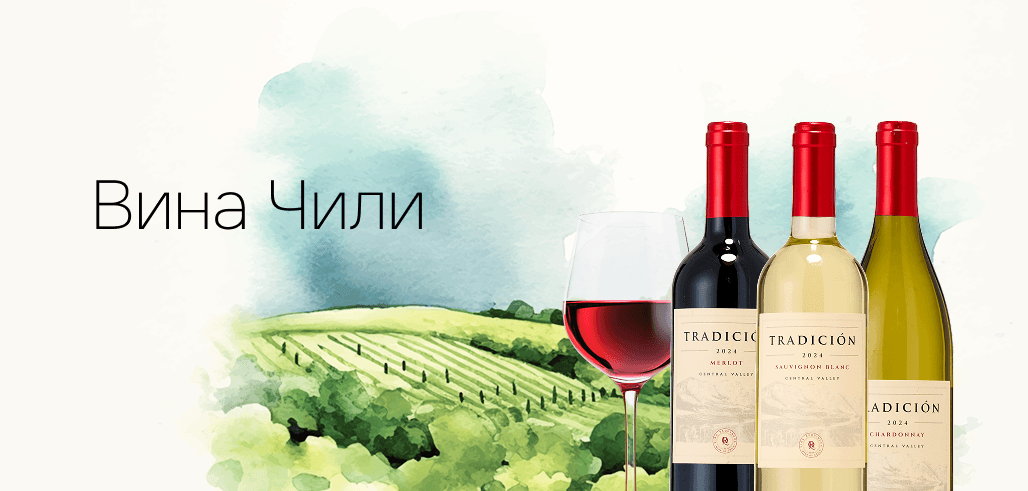 Вина чили